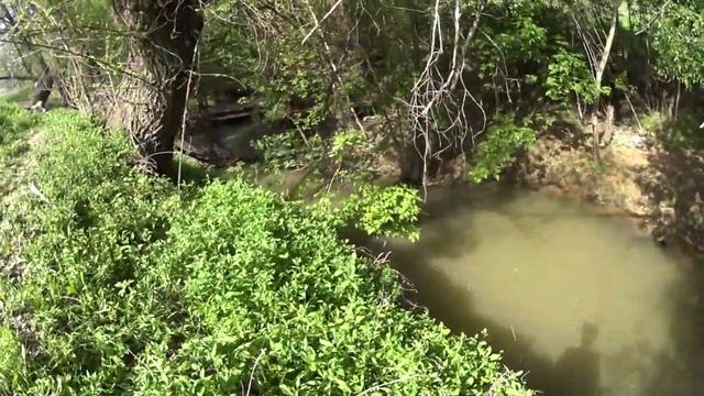 Ловим османа. Рыбалка с сыном и его первый улов. смотреть онлайн