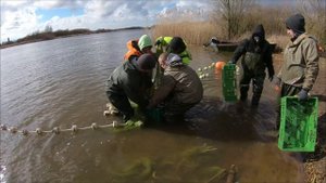 VLOG: Корюшка. Профессиональный лов неводом. Март 2020. река " Матросовка".