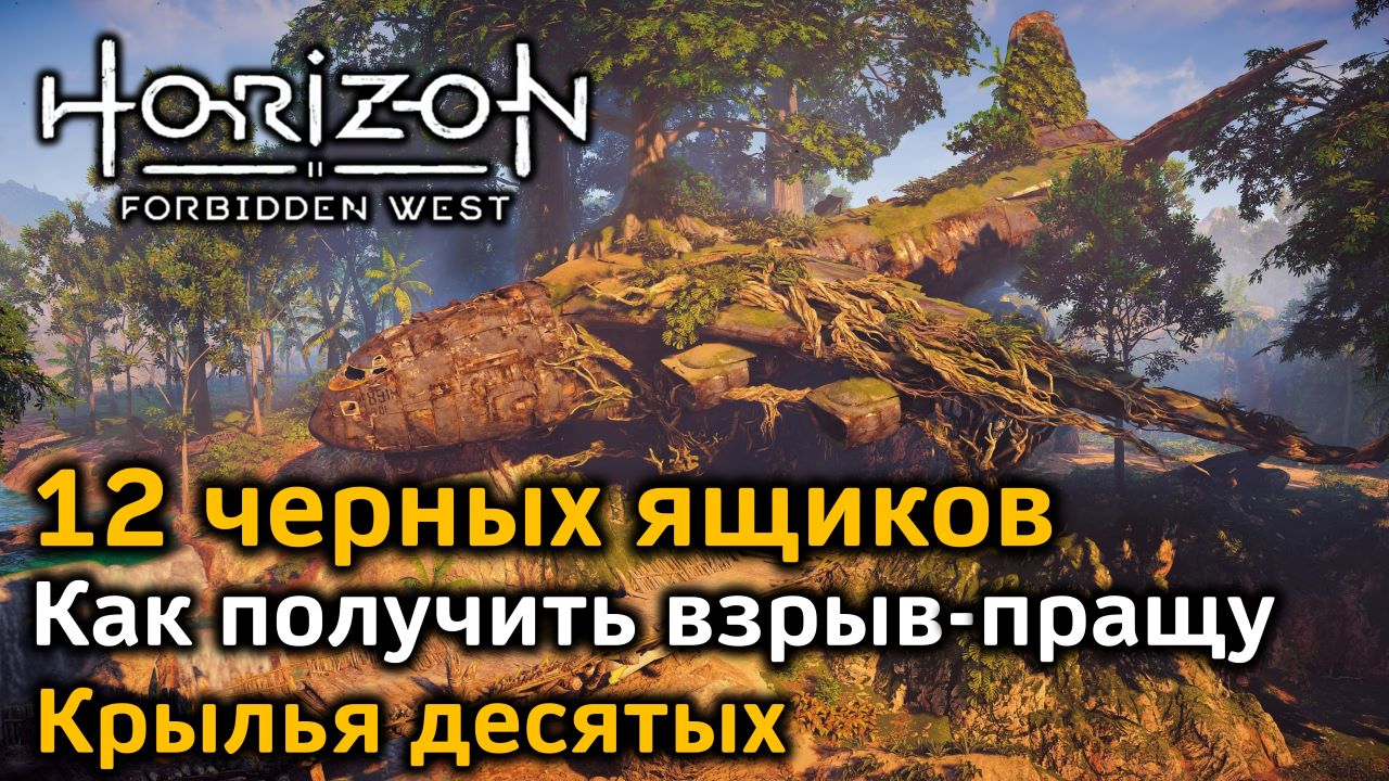 Крылья десятых horizon forbidden west как получить. Роща памяти Horizon. Horizon Forbidden West Элой потолстела. Хорайзон 2. Forbidden Playground игра.