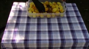 Запечeные куриные ножки с картофелем в "духовке" ))) или на углях.
