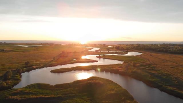 Этот Человек Вернулся из 2048 Года, Чтобы Предупредить Человечество смотреть онлайн