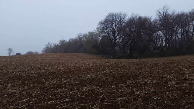 США ЧТО ТВОРИТСЯ -НЕ ХОЧУ В РОССИЮ! смотреть онлайн