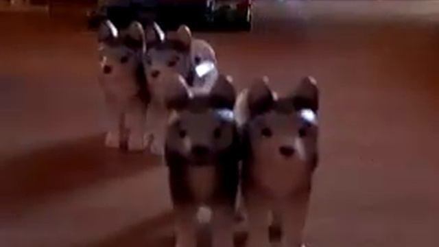 Показание моего Лего френс клиника смотреть онлайн