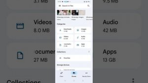 Why Is 'Other' Taking Many Storage? (Android) | RUI2.0