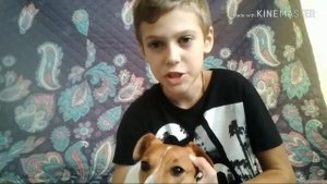 Как уговорить родителей завести собаку)?