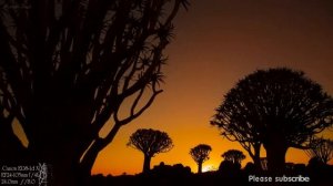 Canon EOS 1d X Mark II Sample Images | Canon 1d X II Photography