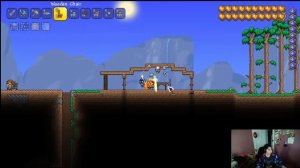 Terraria: Advanced Forest House