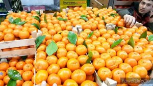 ФУД СИТИ КРОСС ДОК №2-3-4-5-6-7-8-9 И СКЛАДЫ БОЛЬШОЙ ОБЗОР