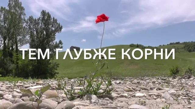 ЦИТАТЫ ВЕЛИКИХ ЛЮДЕЙ: Чем Выше Цветок Тем Глубже Корни смотреть онлайн