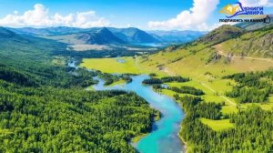 Как Раскрыть Скрытый Потенциал Своей Души?! И стать лучшим в Своем Деле! l НИКОШО и Экхарт Толле