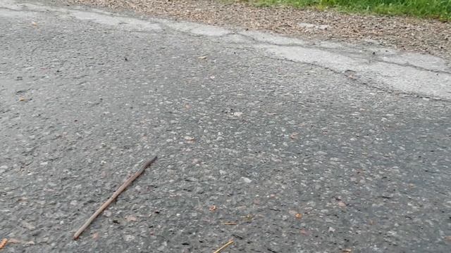 сканирование тела || body scan in Russian || guided meditation смотреть онлайн