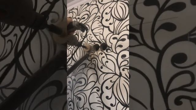 Сверлим железобетон под розетку смотреть онлайн