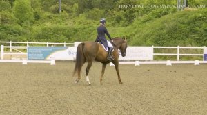 Lucinda Elliot and Hawtins Bellegra PSG Gold; Prestige Equestrian BD Winter Regional 2021