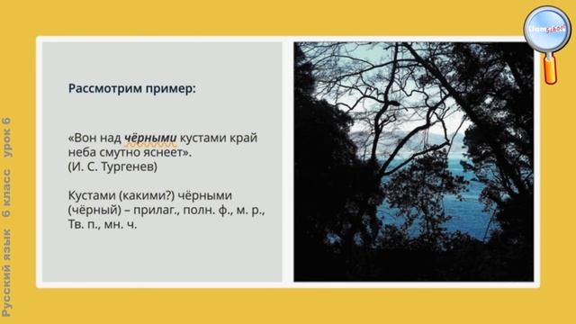 Русский язык 6 класс (Урок№6 - Части речи. Орфограммы в окончаниях слов.)