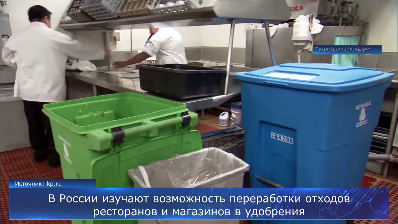 В России изучают возможность переработки отходов ресторанов и магазинов в удобрения