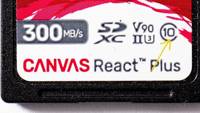 Class 10 SD Card - FAST Kingston Canvas React Plus!
