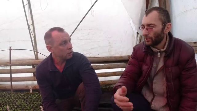 Успешный бизнес на цветочной рассаде. смотреть онлайн