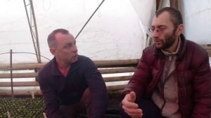 Успешный бизнес на цветочной рассаде.