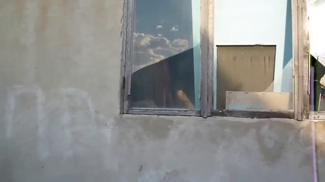 Цветы которые цветут - Дача Виноград и малина 22 июня 2014 смотреть онлайн