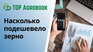 Росстат подсчитал, насколько подешевело зерно | TOP Agrobook: обзор аграрных новостей