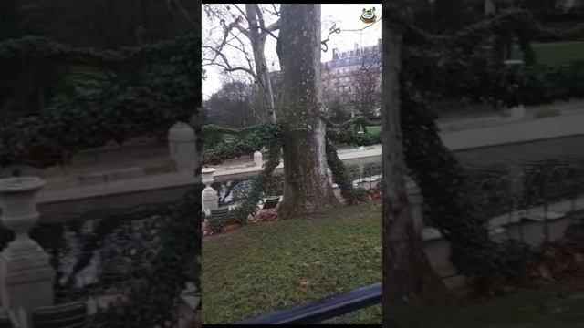 Люксембургский сад Франция | Jardin du Luxembourg France