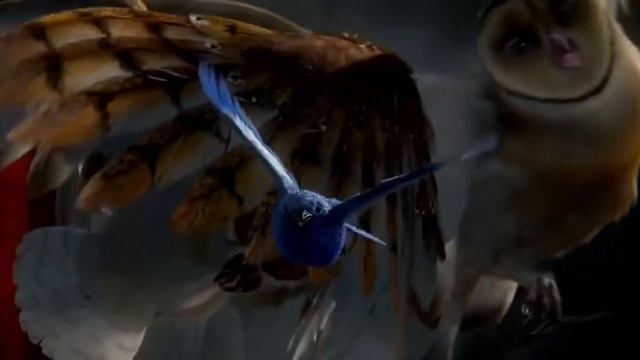 ♪Легенды ночных стражей клип♪ смотреть онлайн