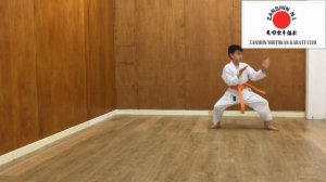 Orange belt - Heian Shodan Kata