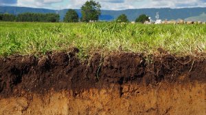 Кто? Кто? Живет в земле? Операционная система?