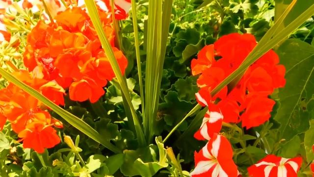 Тихий. Мелодичный. Успокаивающий. Звук малых колоколов. смотреть онлайн