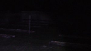 Заношу пчёл в зимовник.