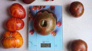 Томат Странная вещь девочкиной девочки! Красота и вкус в одном флаконе!