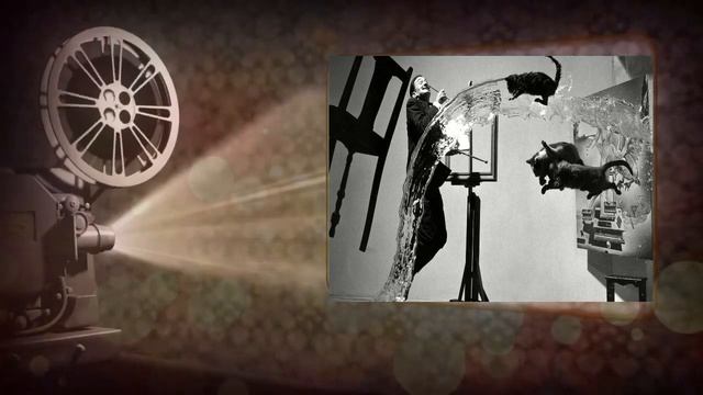 Дали и кошки смотреть онлайн