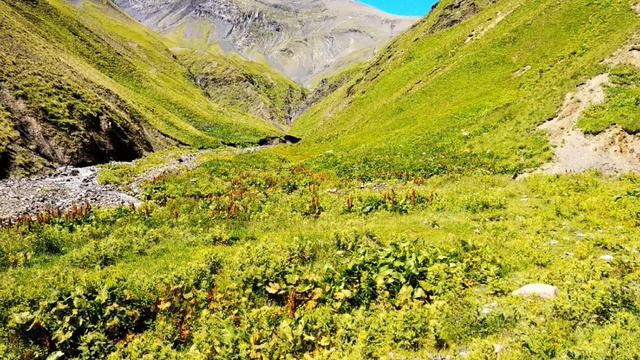 Село Гоаб, Чародинский район