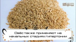 Немного о пользе голозёрного овса