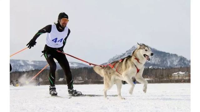 Зимние забавы // Активный отдых для всей семьи // ЦДТ "Ново-Переделкино" смотреть онлайн