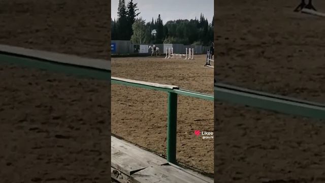 Конный спорт