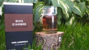 KARL LAGERFELD Bois D'Ambre мужской парфюм