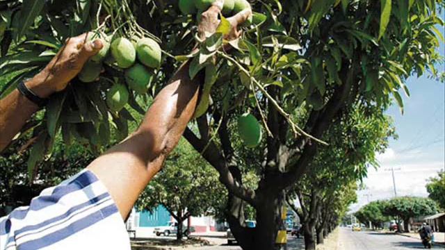 Video Revelacion Maranatha (Mango Bajito).wmv смотреть онлайн