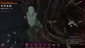 Conan Exiles: Остров Сиптаха. Гнездовье гарпий. Гайд прохождения подземелья.