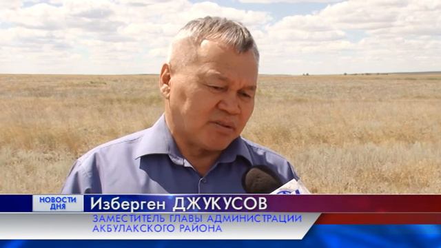 ХОЗЯИН ДЛЯ БЕЗХОЗНОГО УЧАСТКА смотреть онлайн