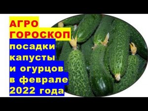 Агрогороскоп посева семян капусты и огурцов на рассаду в феврале 2022 года