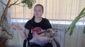 ПОЧЕМУ СОБАКА ЕЗДИТ НА ПОПЕ? Причины поездок и способы устранения проблемы. Наш личный опыт!