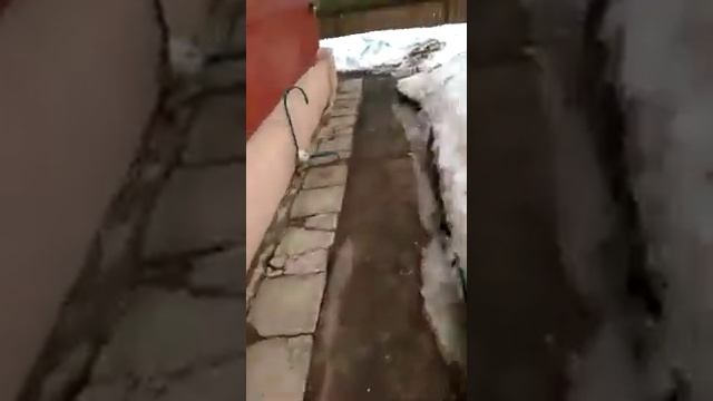 Отзыв Андрей Васильевич (станок Улитка ковкадома.рф, г. Электросталь)