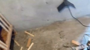 Голубятня своими руками / Николаевские голуби Андрея Животовского