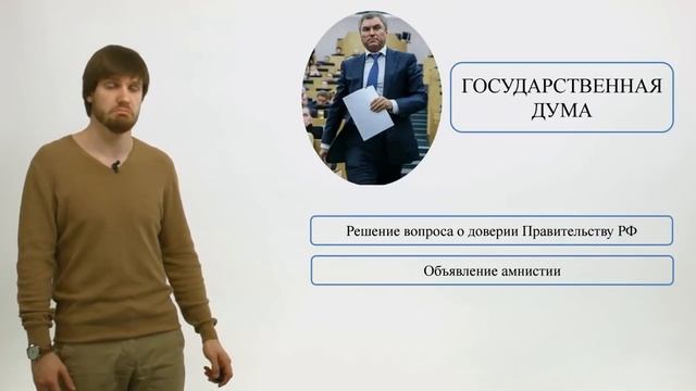 Обществознание ЕГЭ 2017. Органы государственной власти РФ смотреть онлайн