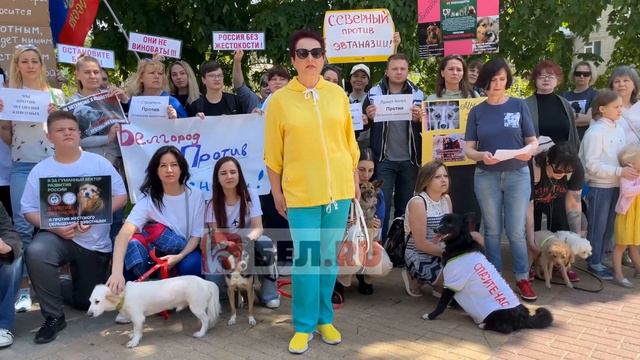 Видеообращение против эвтаназии. Белгород. смотреть онлайн