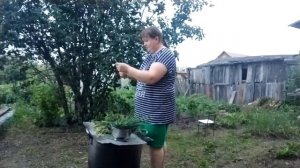 ПРОСТАЯ ЖИЗНЬ__ ВЕЧЕРНИЙ ВЛОГ ПРОСТОЙ ЖИЗНИ