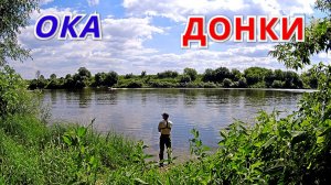 ДОНКИ на ОКЕ. Реже, но КРУПНЕЕ. Рыбалка в начале августа.