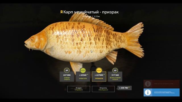 #РР4 Трофеи за месяц. Редкие трофеи, призраки и многое другое )