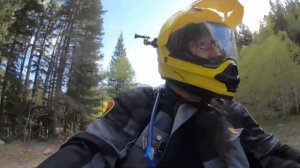 Kawasaki KLR 650 VS. a Kawasaki KLX 250: Which Bike is Right for Me?